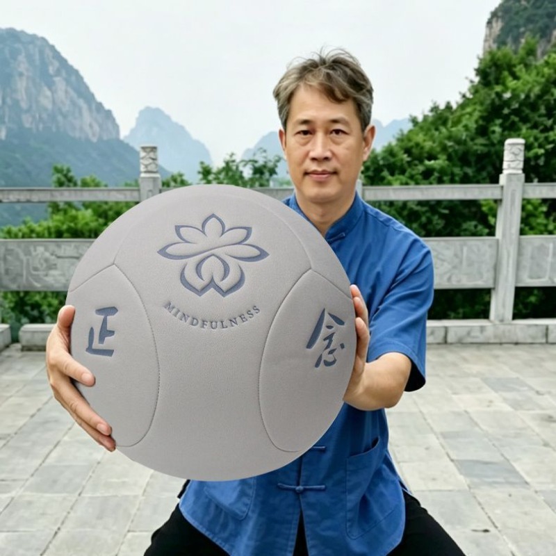 Grande boule de Tai Chi portab - Yoga Fitness Health avis et prix